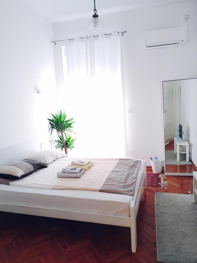 Cricket Park Hostel ベオグラード エクステリア 写真